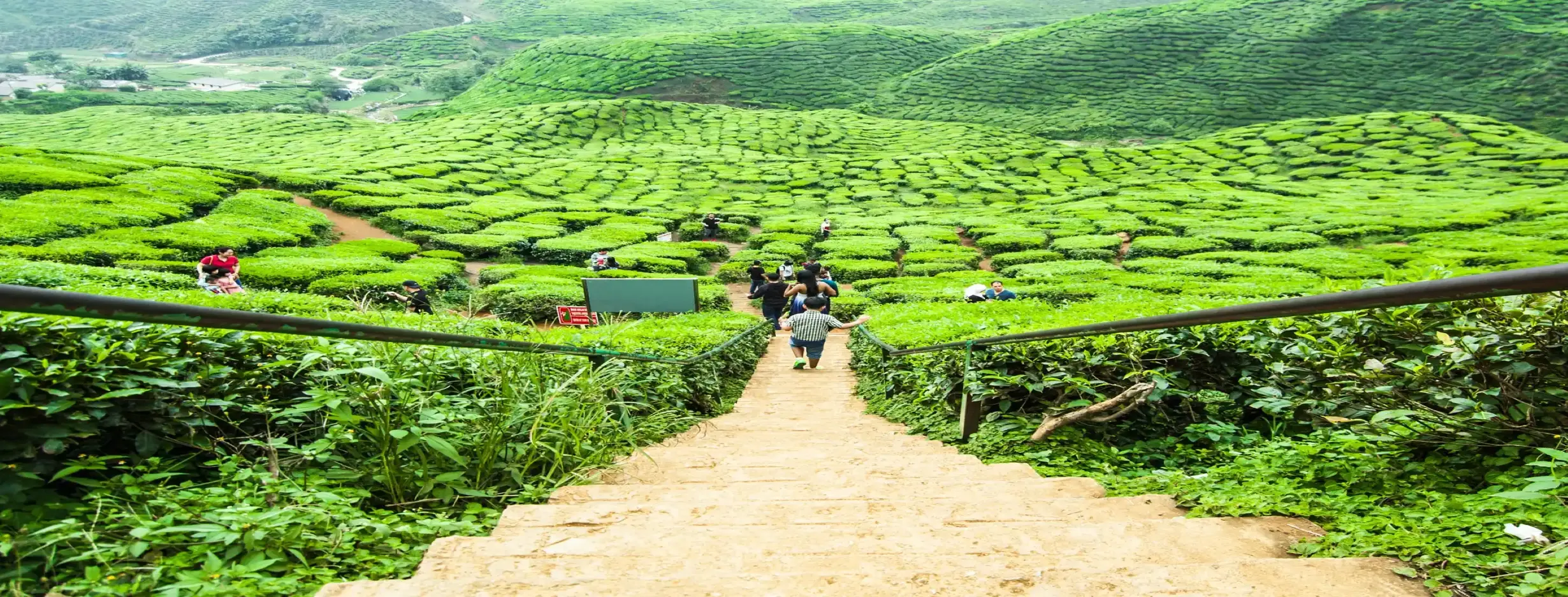 Image for Cameroon Highlands Tour